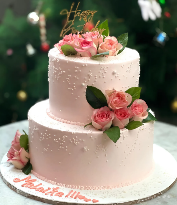 Celebration Cake _ 5